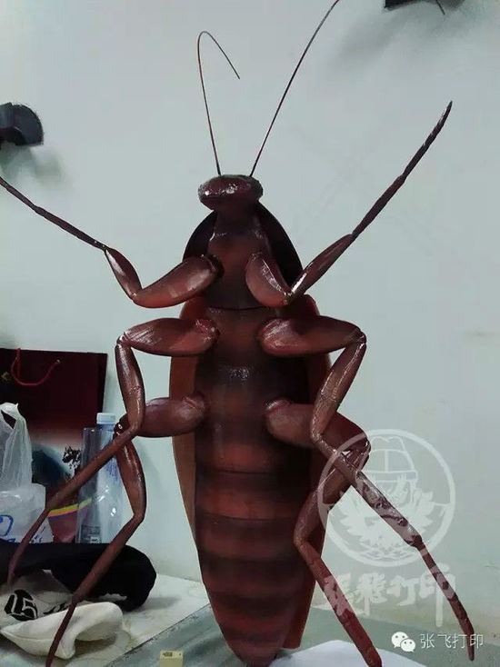 3D打印蟑螂小強(qiáng)誕生記(超精細(xì)) 妹紙膽小也可入
3D打印蟑螂,3D打印小強(qiáng),3D打印技術(shù),3D打印服務(wù),3D打印平臺(tái),e鍵打印