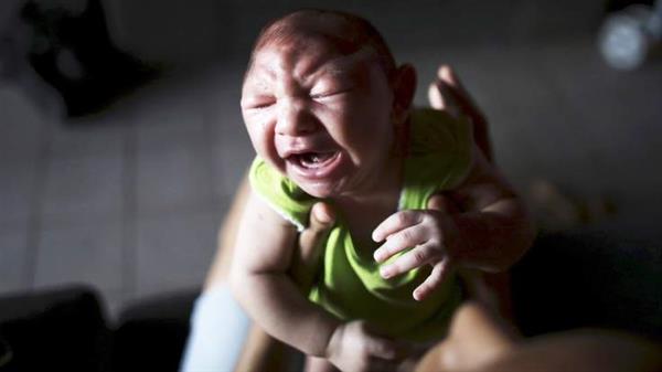 科學家攻克Zika病毒 高中生攜3D打印來幫忙

Zika病毒,3D打印醫療行業,3D打印材料價格,3D打印技術,3D打印材料,3D打印成本,3D打印價格