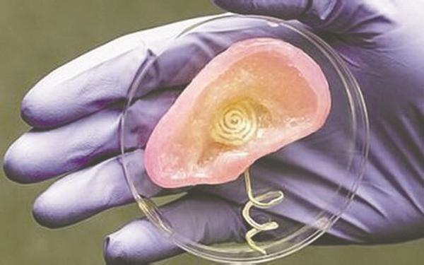 3d打印應用案例:3D打印人體器官的那些事兒