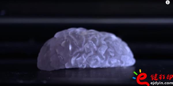 生物3d打印,生物3d打印技術,生物3d打印技術,生物3d打印材料,生物3d打印發(fā)展,3D打印心臟,3D打印服務 生物3d打印,生物3d打印技術,生物3d打印技術,生物3d打印材料,生物3d打印發(fā)展,3D打印心臟,3D打印服務